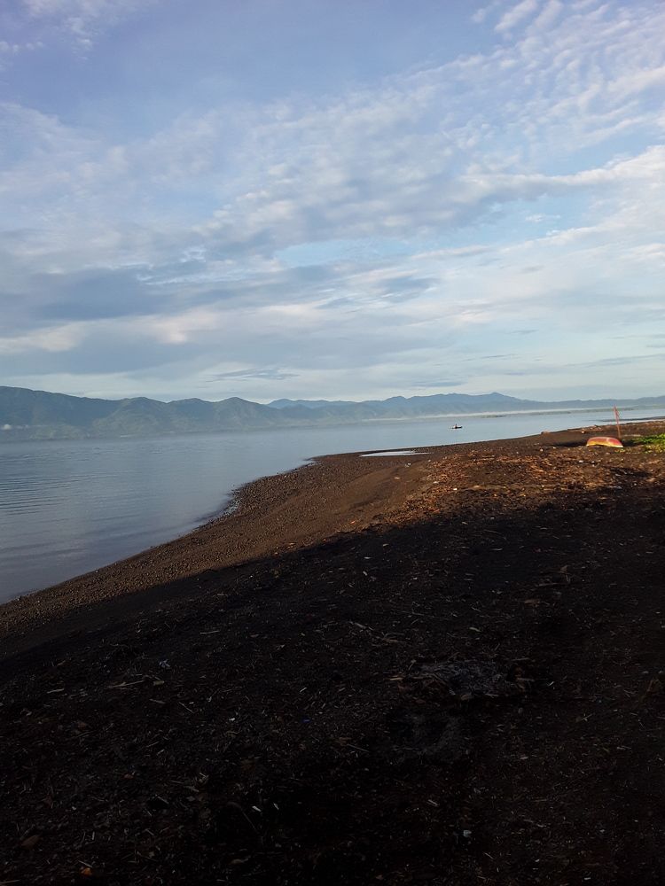 Photo #6661351