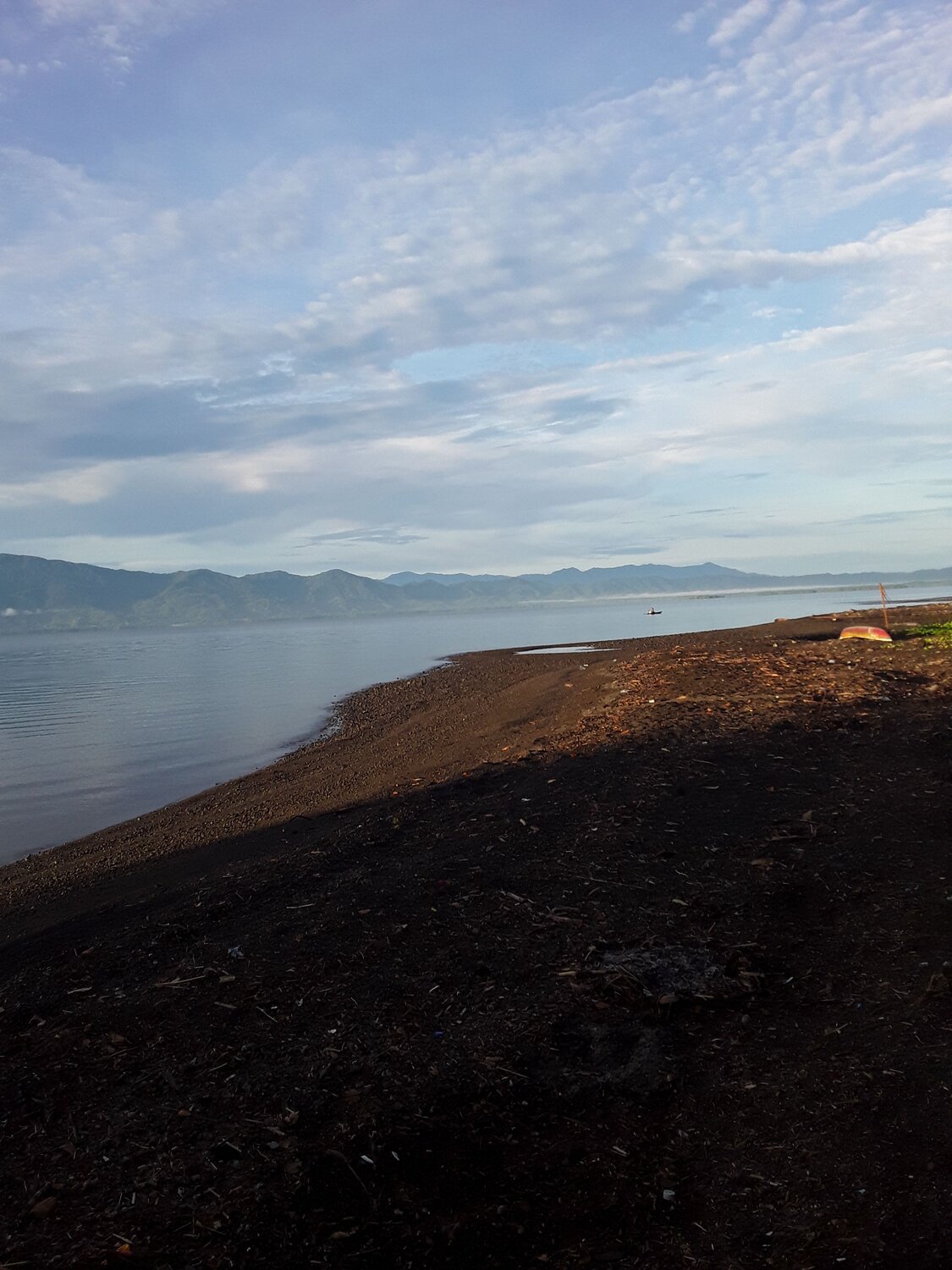 Photo #6661351