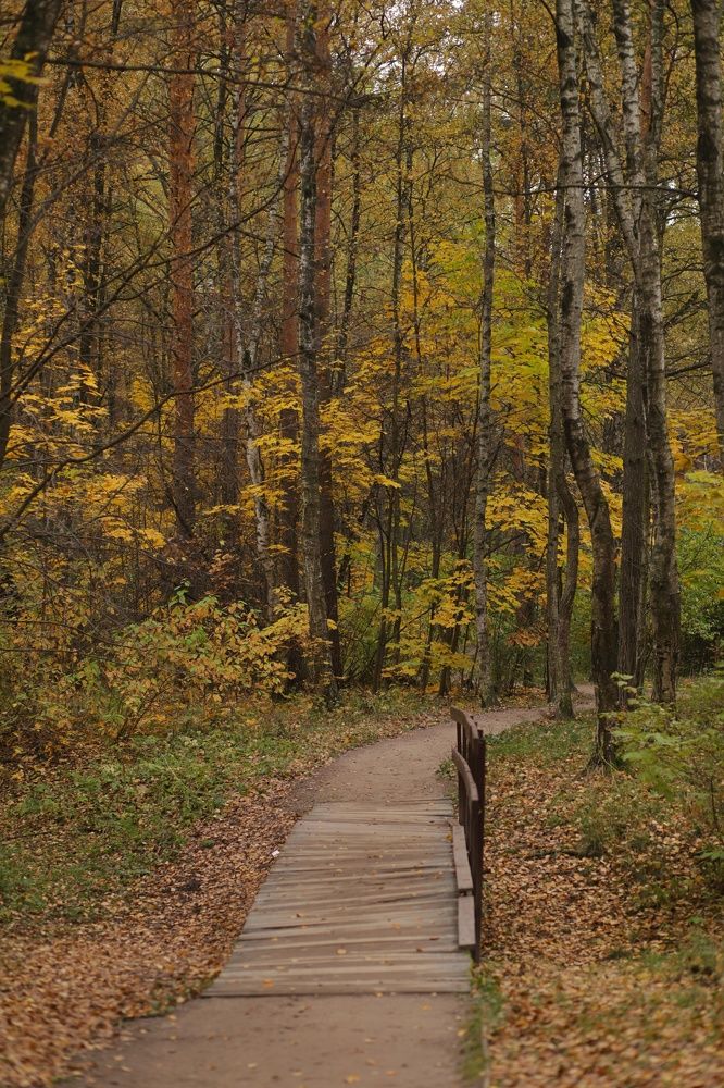 Photograph by Галина Шипухина