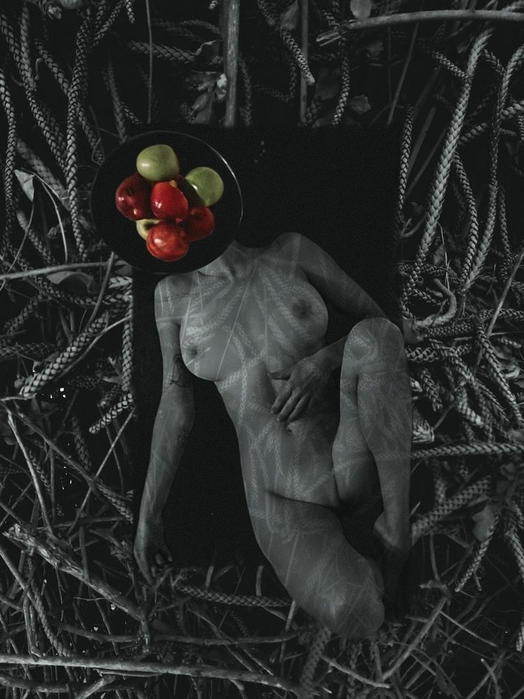 Photograph by Dedkovskaya Lisa