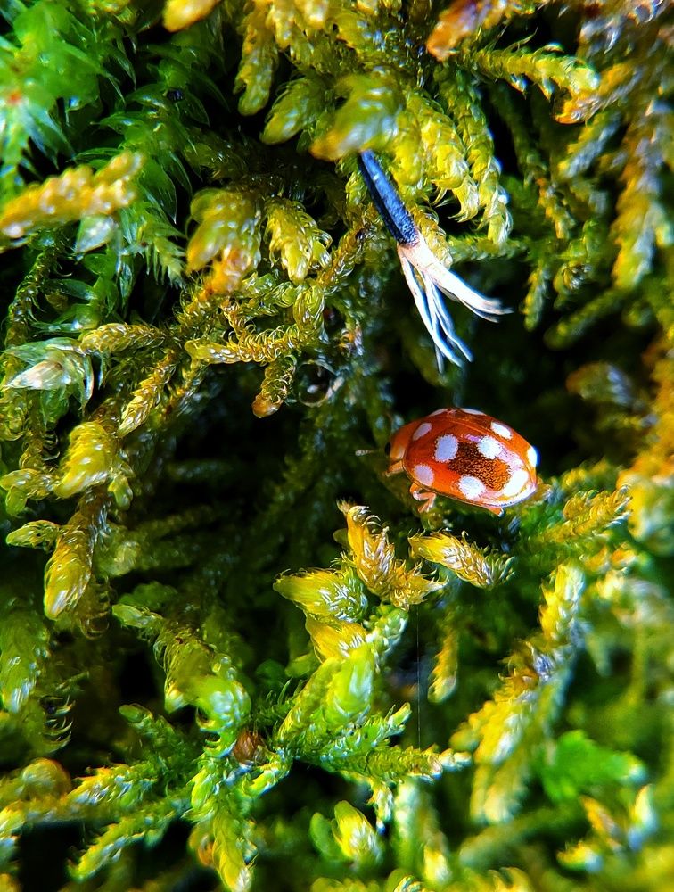 Photograph by Ирина Панкова