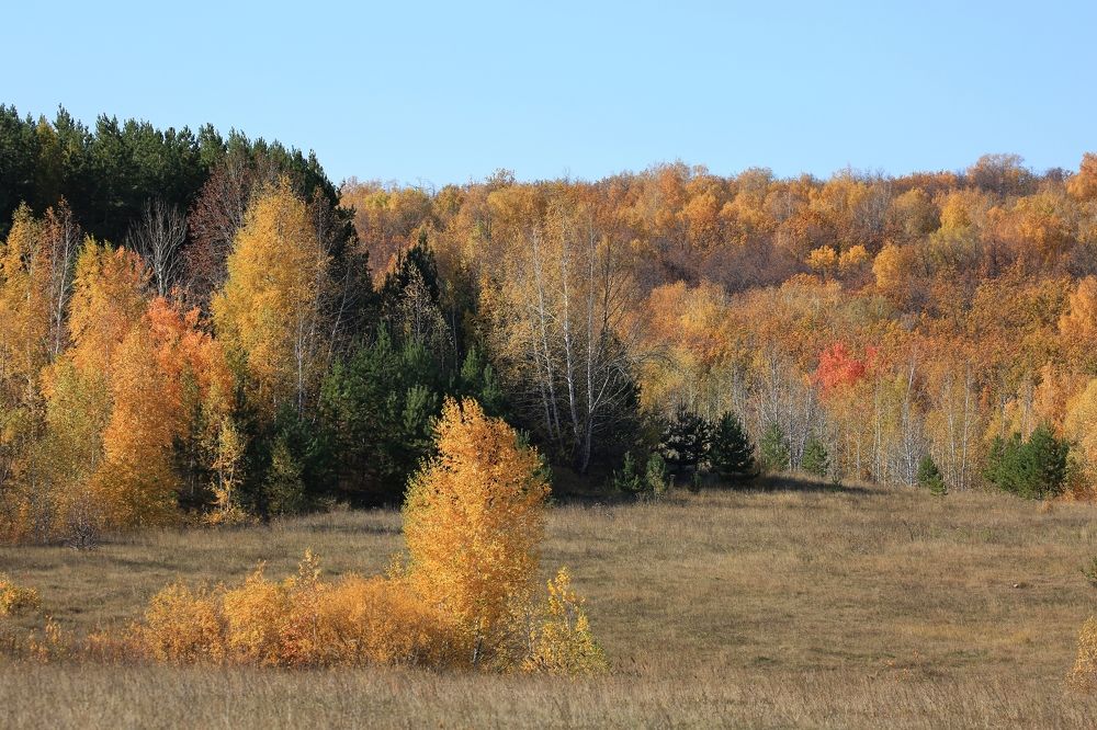 Photograph by Сергей Жданов