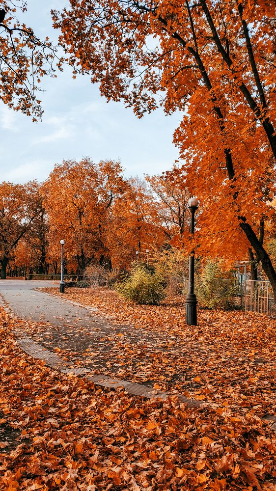 Photograph by Ирина Панкова