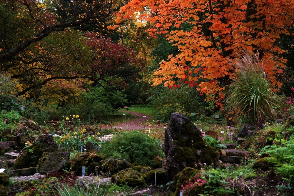 Photograph by Igor Sorokin