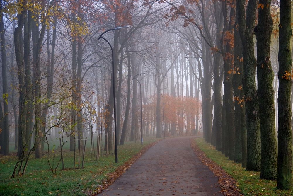 Photograph by Igor Sorokin