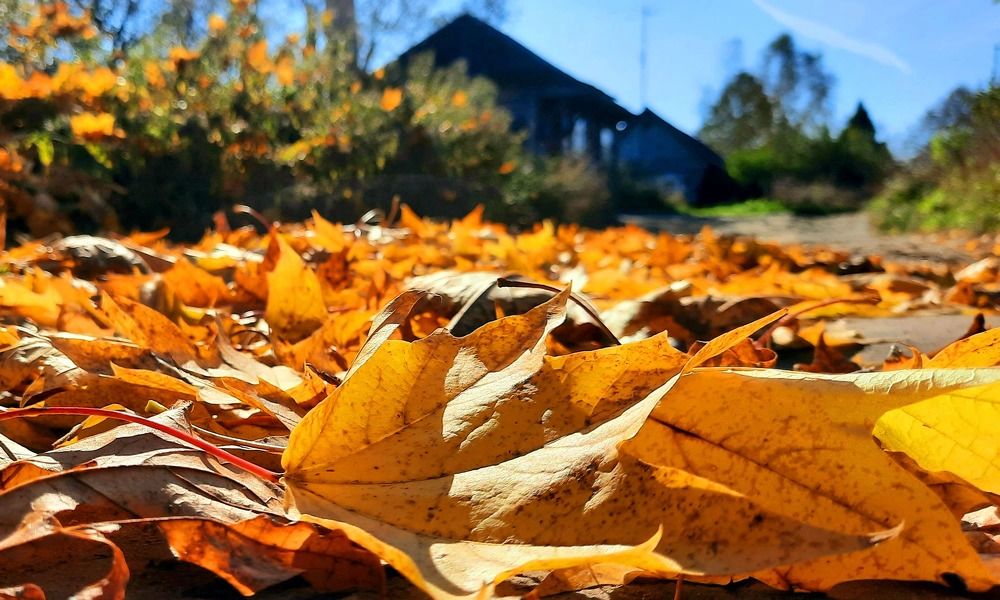 Photograph by Сергей