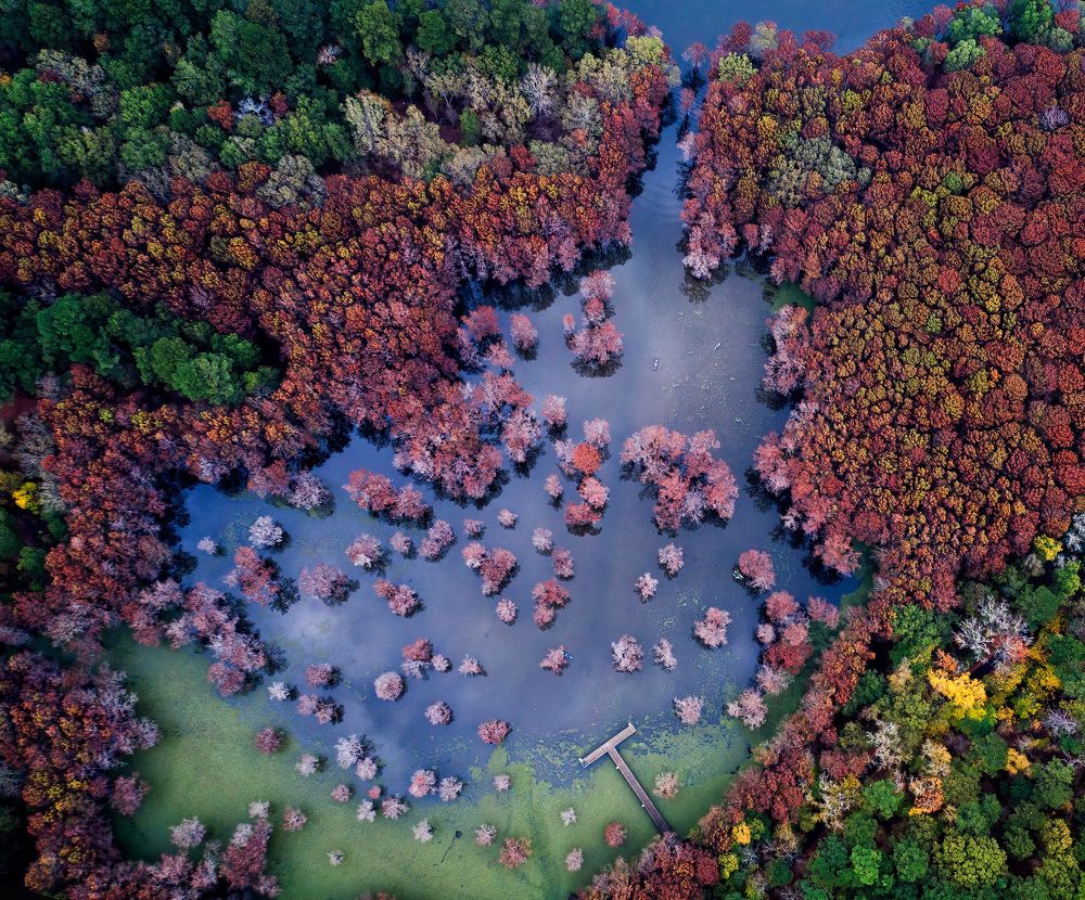 Фотография автора Alex Mimo