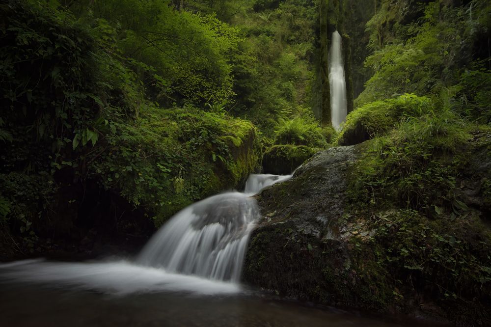 Photograph by Francisco