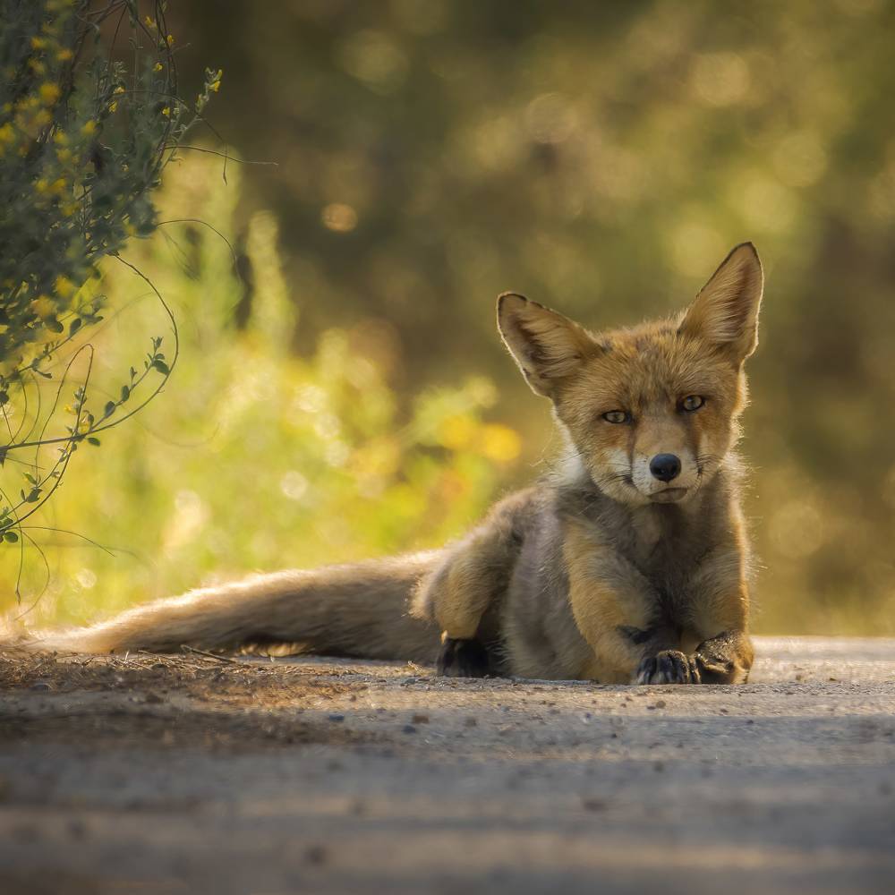 Photograph by Francisco