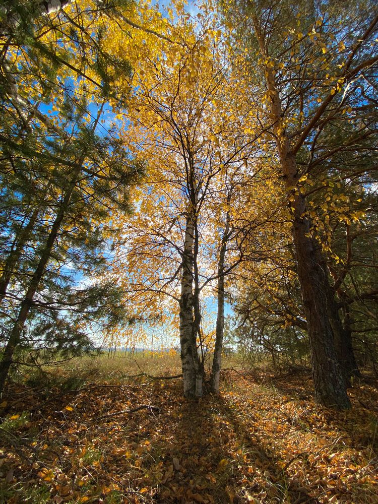 Photograph by Голод Русский