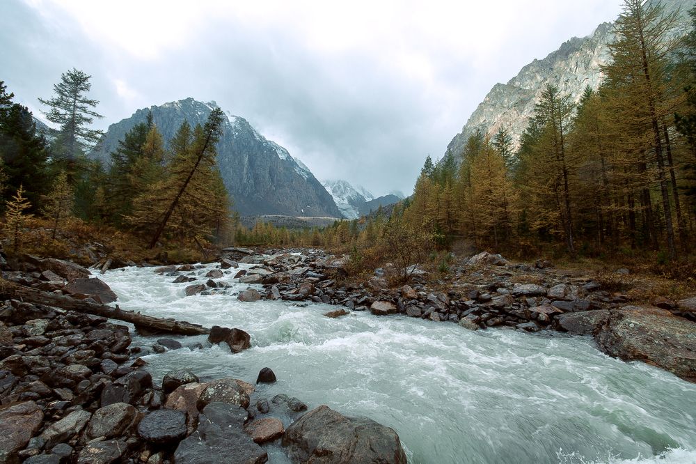 Photograph by Максим Савватеев