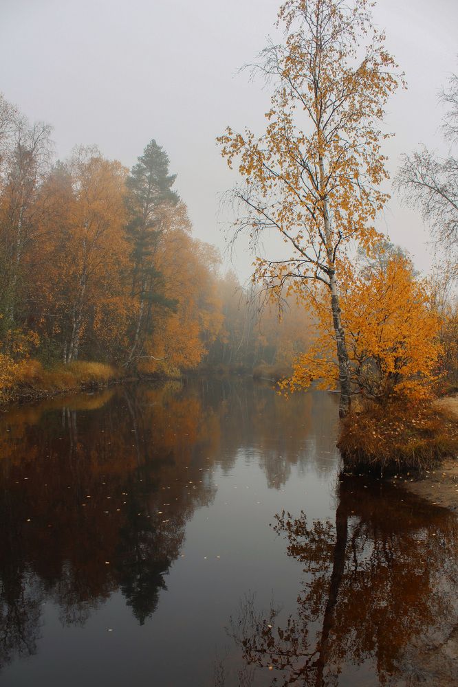 Photograph by Мария Василенко