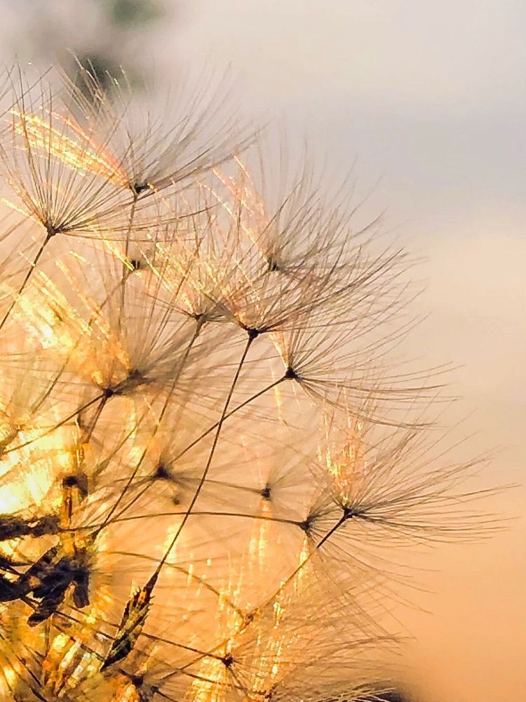 Невыносимая легкость бытия