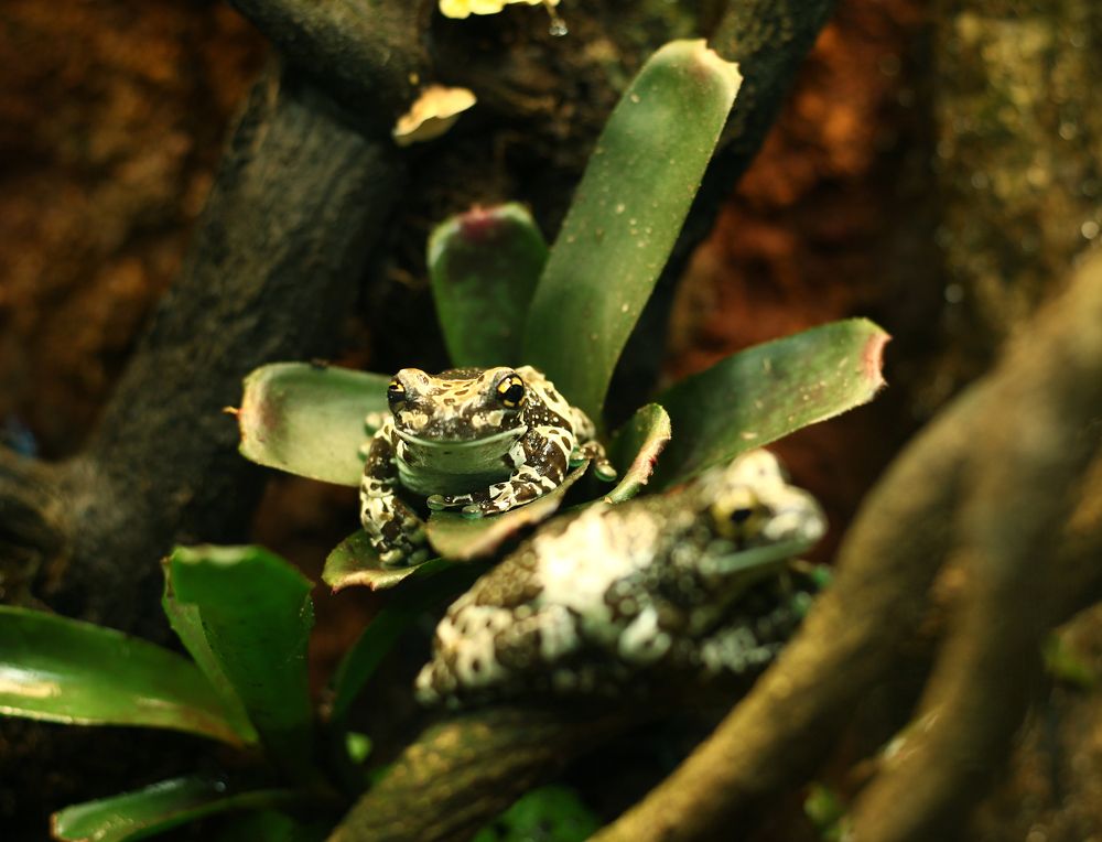 Photograph by Галина