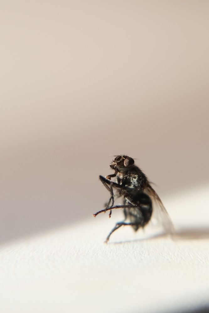 Photograph by Екатерина Слепнева