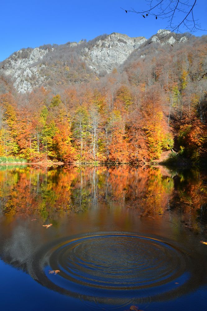 Photograph by Sabina Tumanskaya