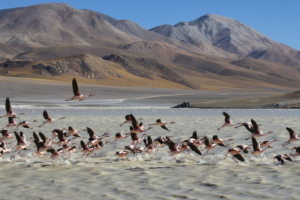 Photograph by MARÍA CECILIA REY