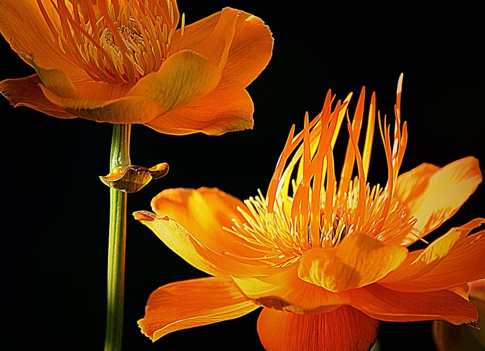 Photograph by Зоя Быкова