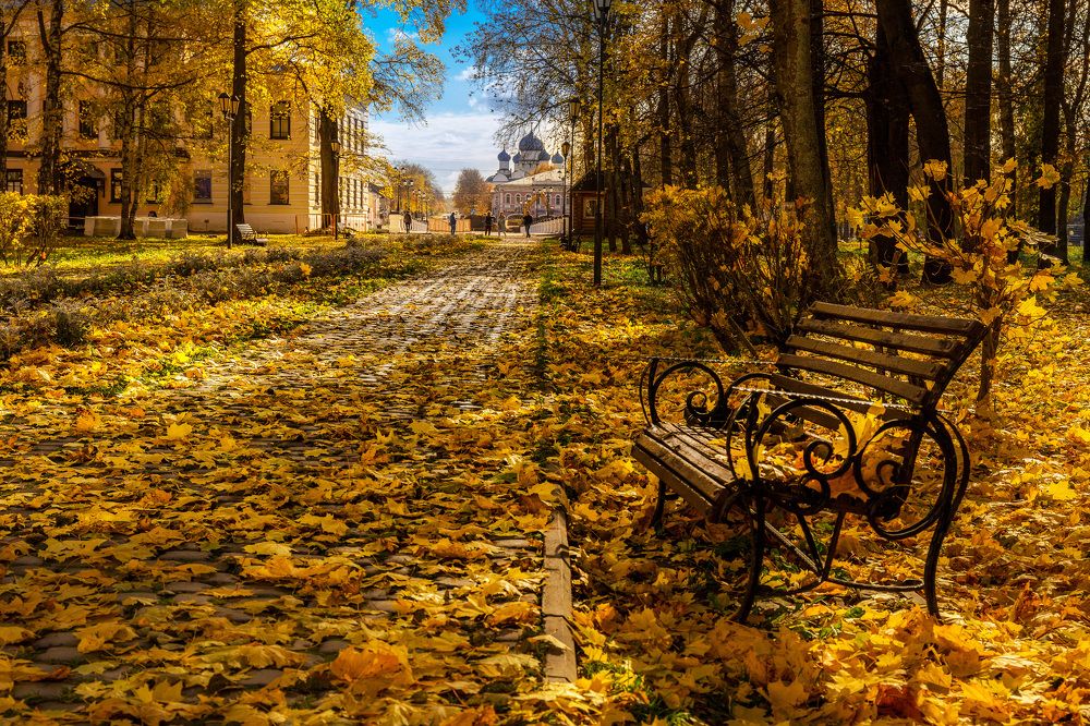 Фотография автора Виталий Смелик