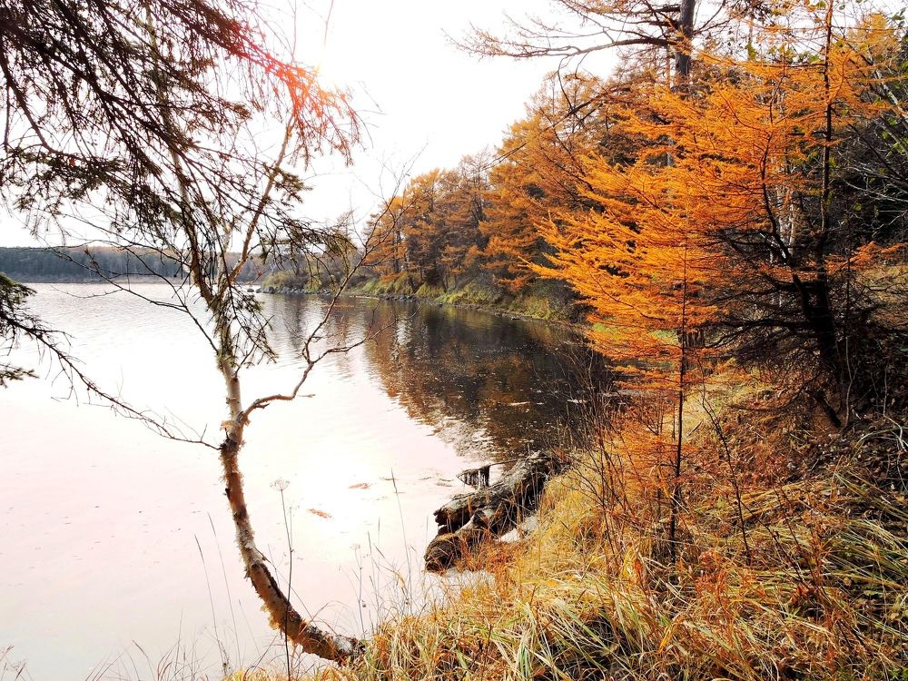 Тихая бухта