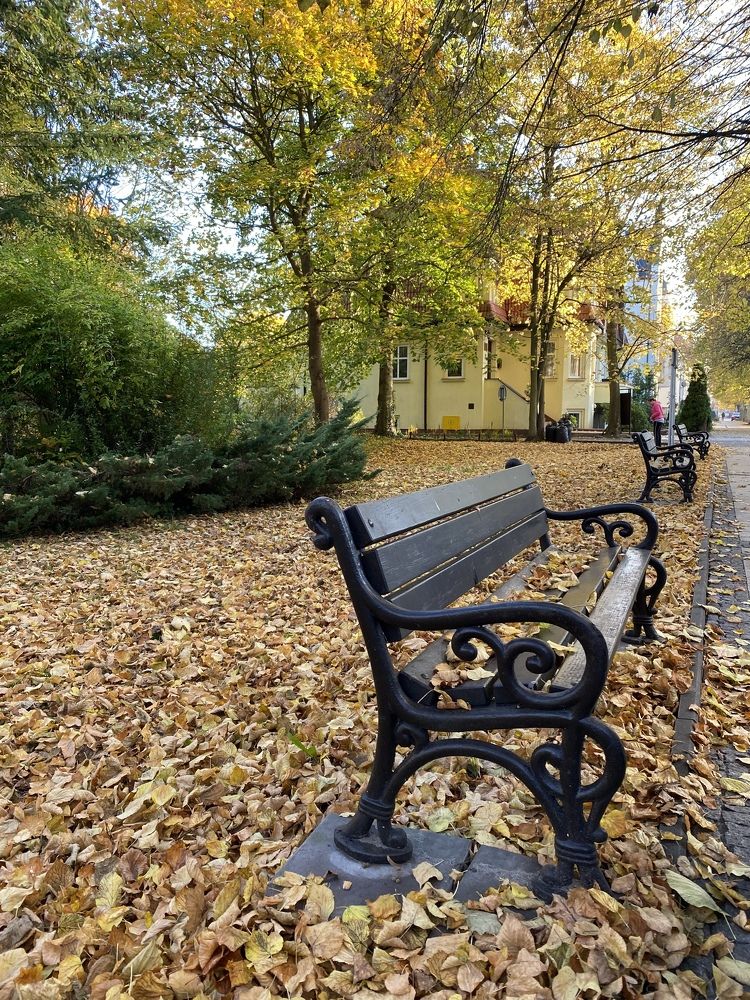 Photograph by Olga Rogala