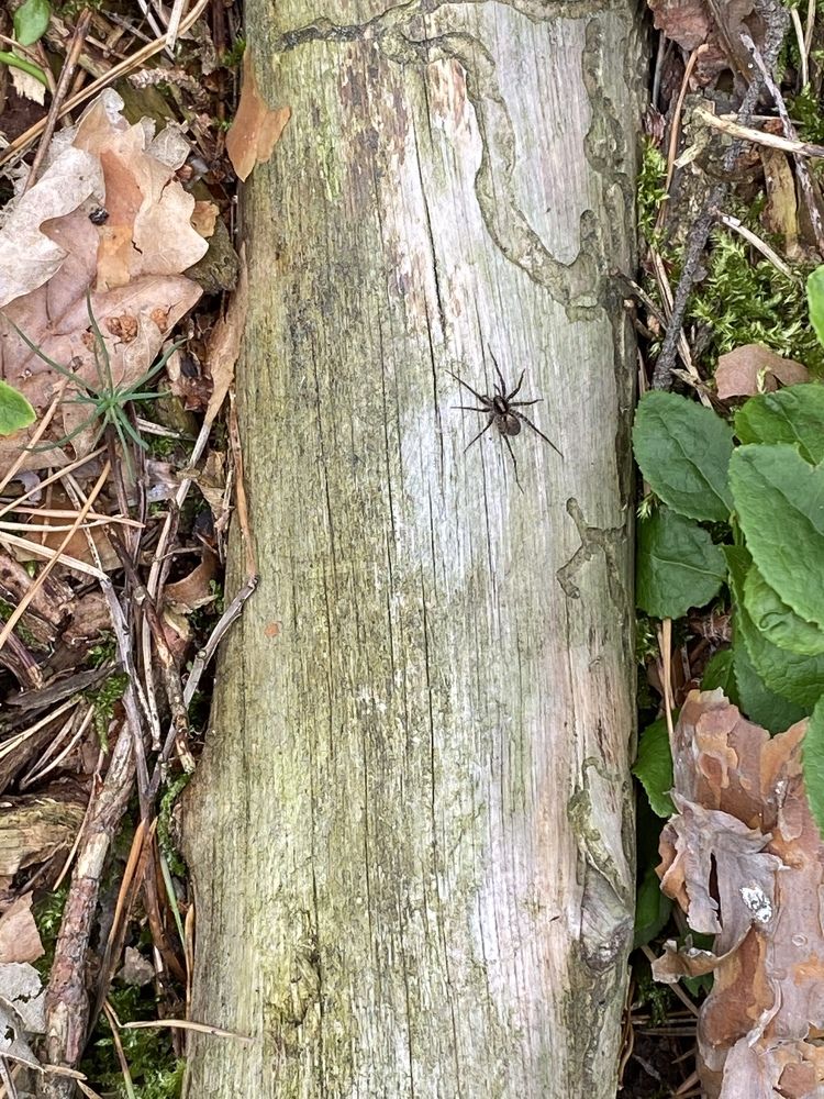 Photograph by Olga Rogala