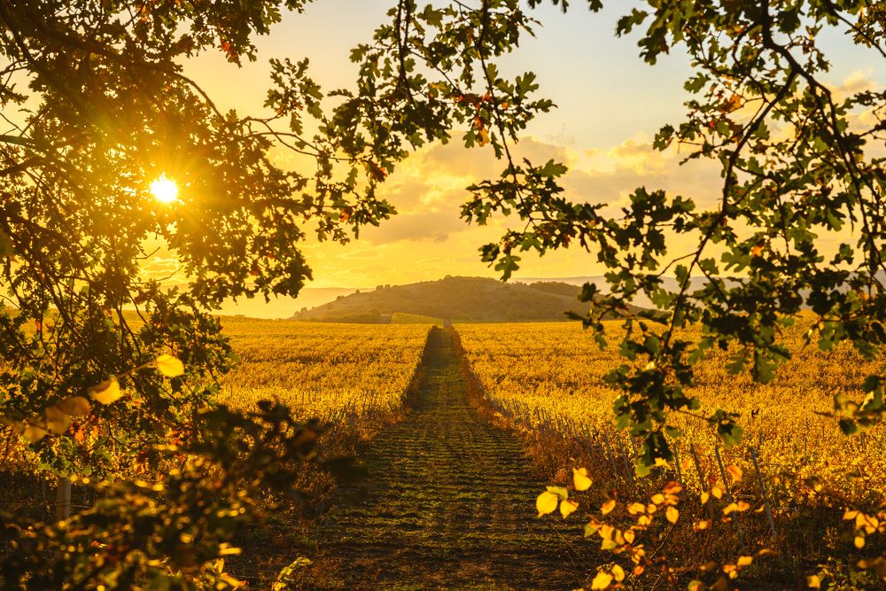 Photograph by Артем Колосов