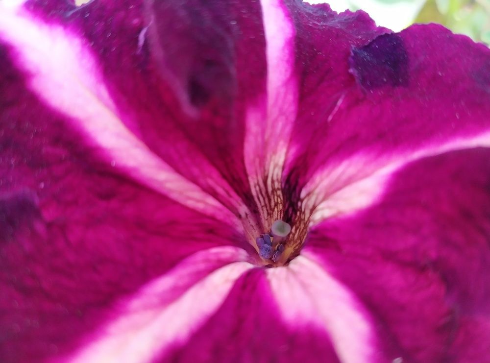 Photograph by Bojan Nikolovski