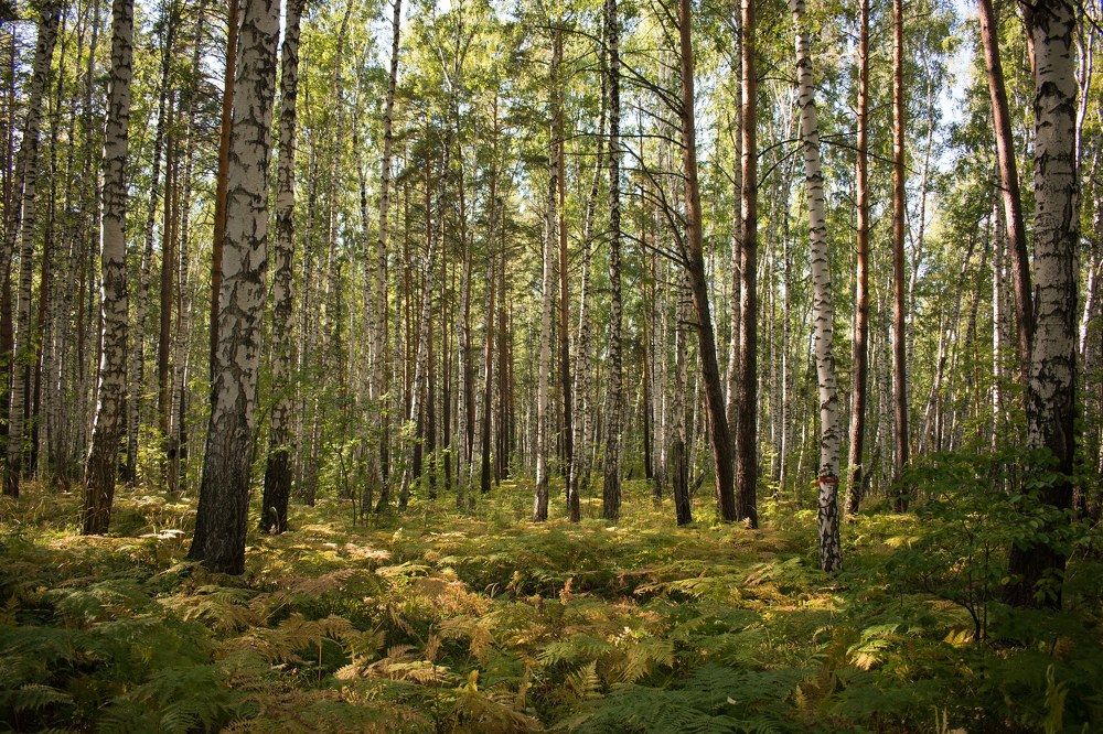 Photograph by Валерия