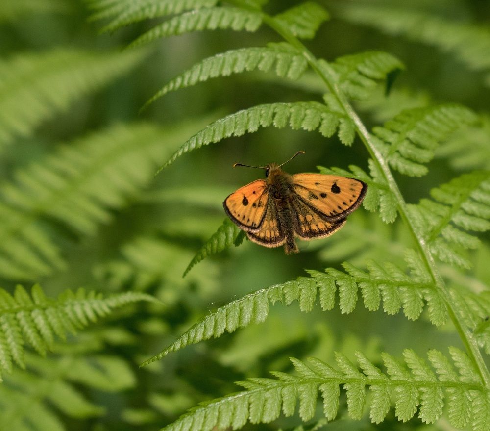 Photograph by Валерия