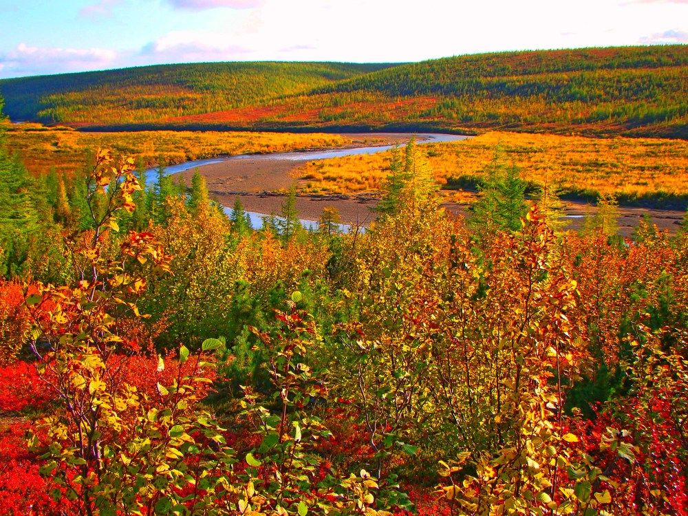 Photograph by Александр Велигура