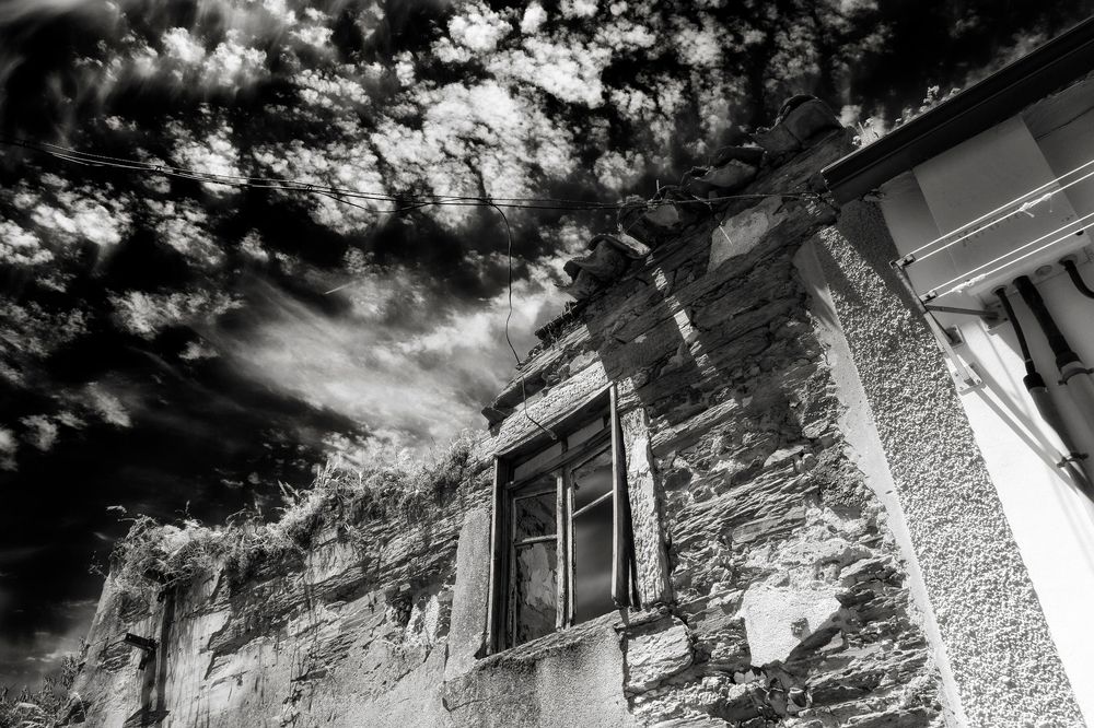 Photograph by Rui Campos