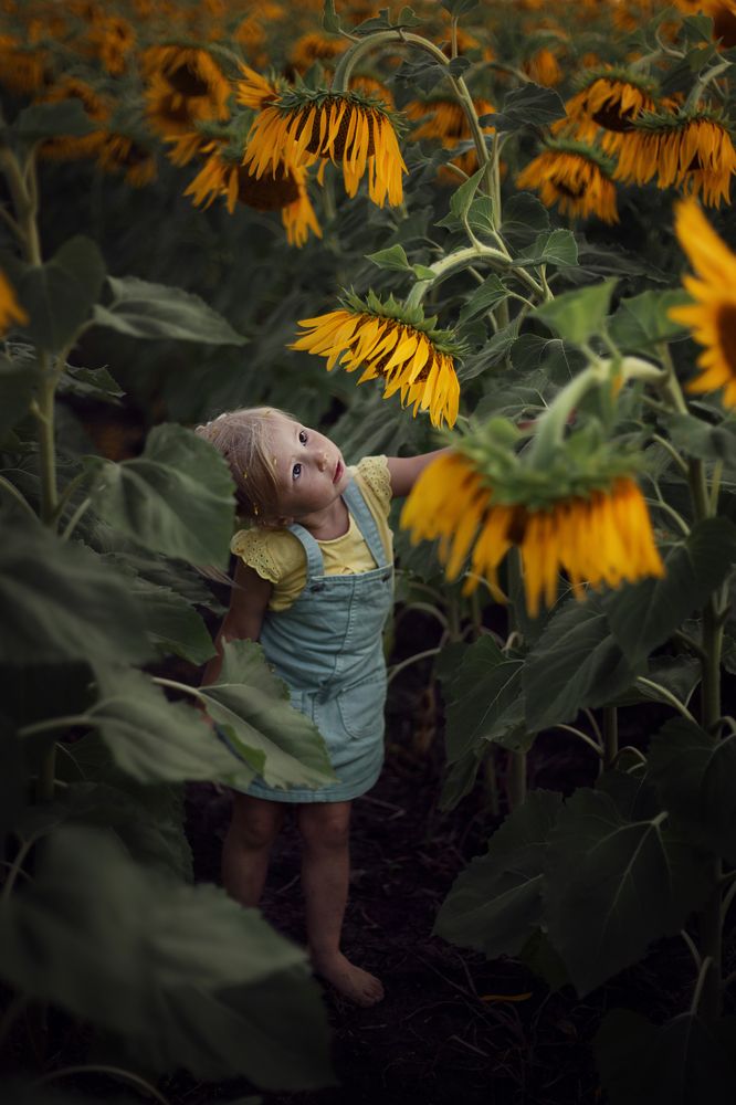 Photograph by Людмила Смирнова