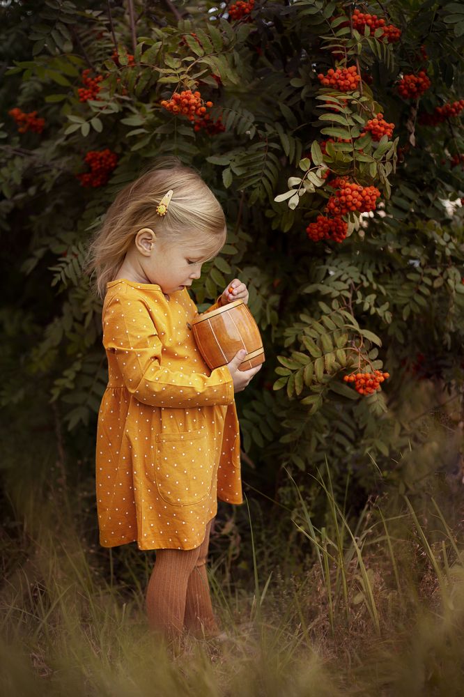 Ягоды рябины