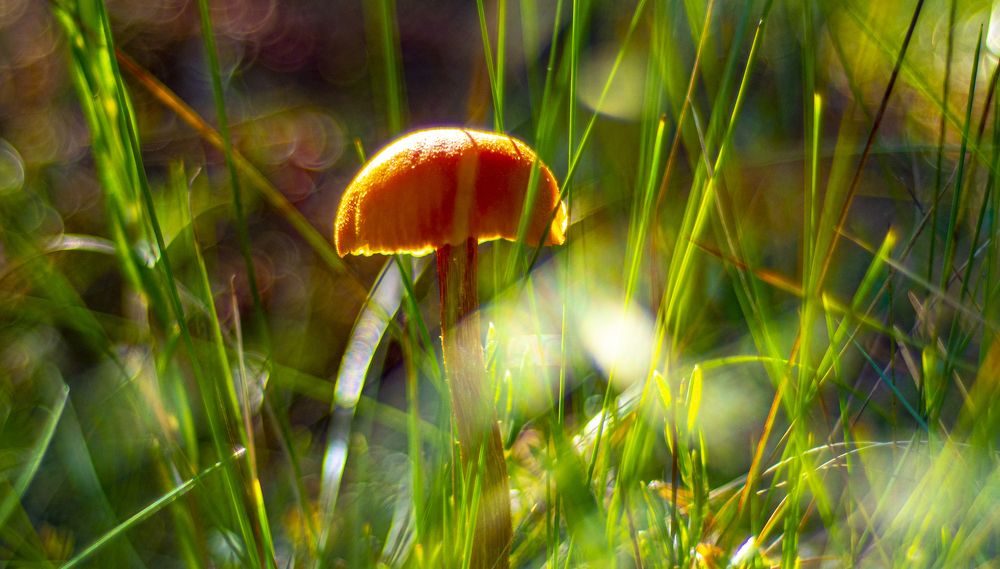 Photograph by Дмитрий Бутин