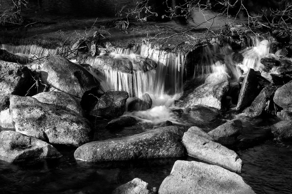 Photograph by Rui Campos