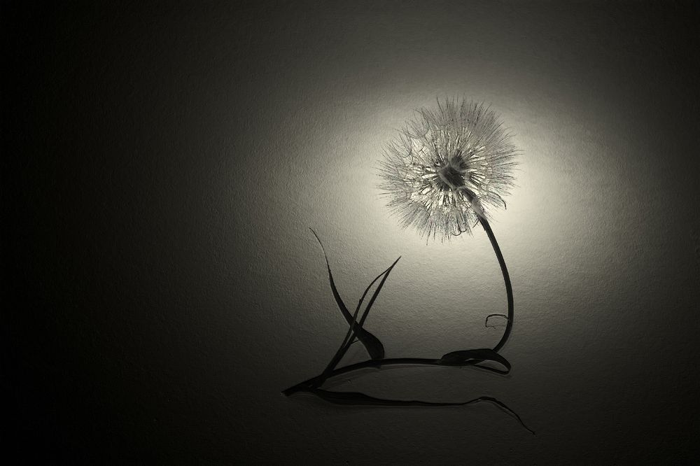 Photograph by Ольга Заболотская