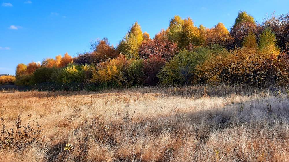 Photograph by Татьяна Котельникова