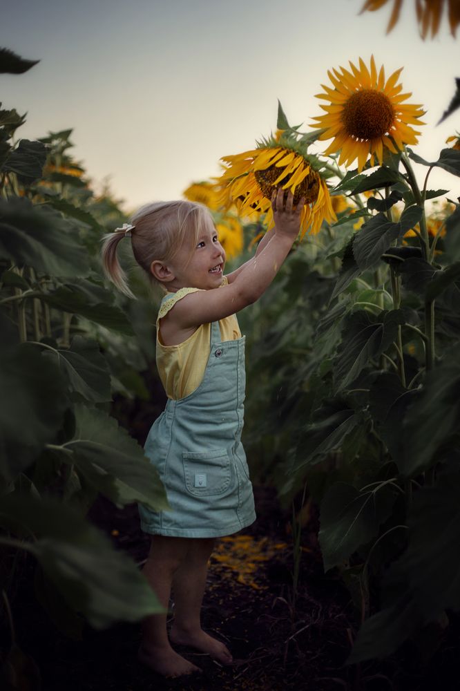 Девочка в подсолнухах
