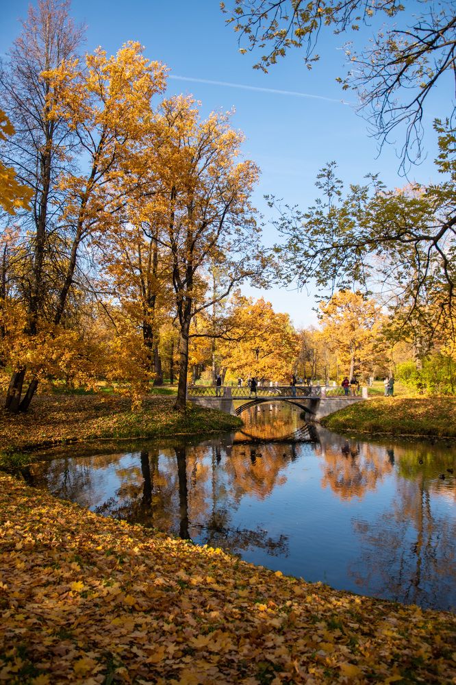 Фотография автора Мария Рохмистрова