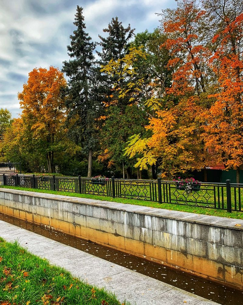 Photograph by Логинова Наталия
