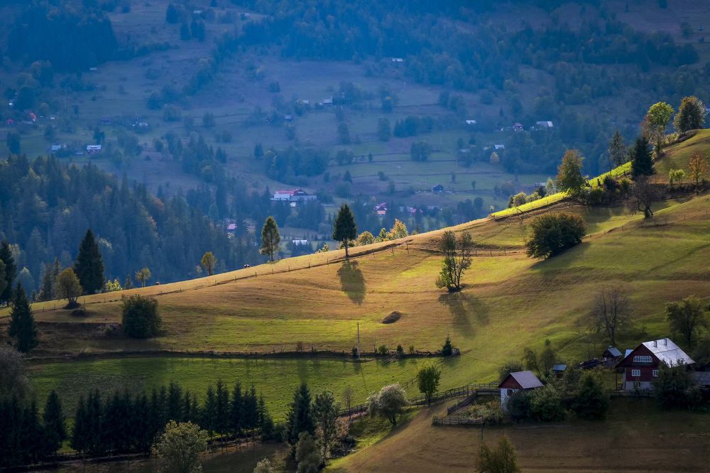 Photograph by Cerasela Draga