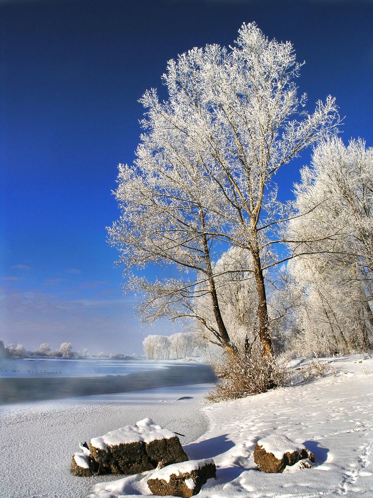 Photograph by Петр Орлов