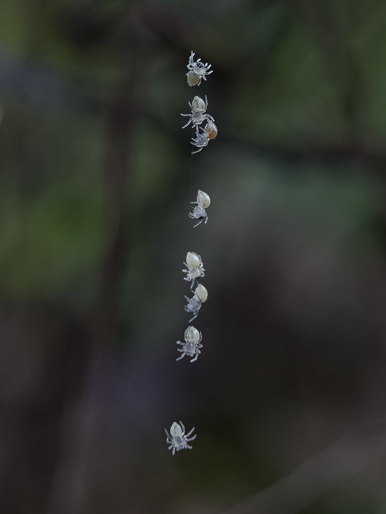 Photograph by Rahul Dey