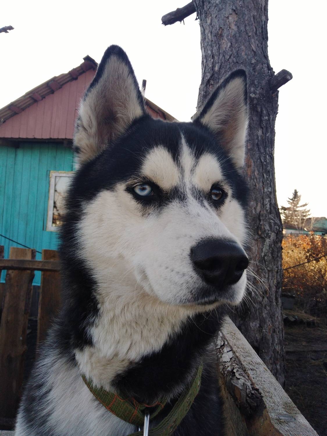 Photo #6662533