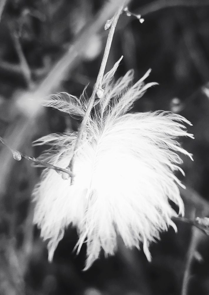 Photograph by Татьяна Гулакова