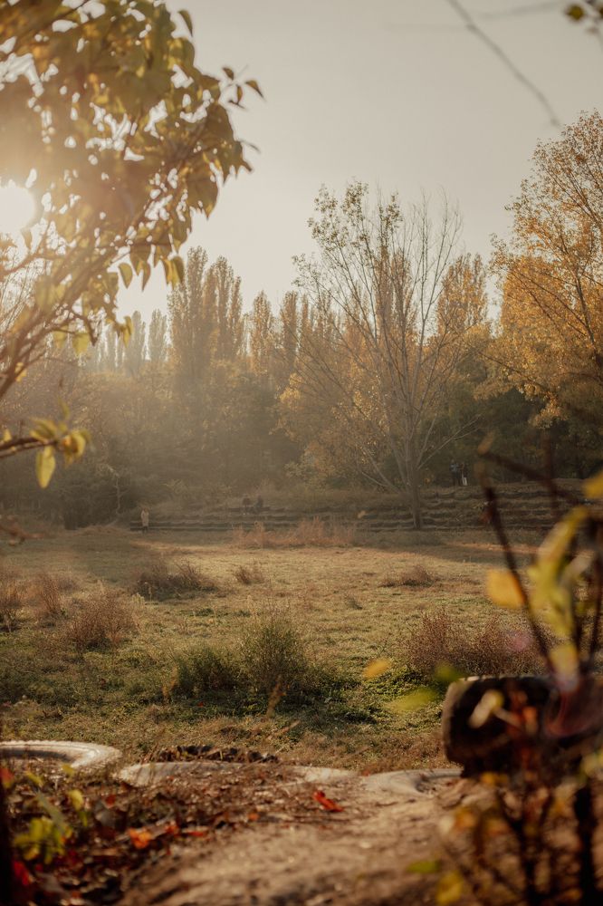 Photograph by Алёна Лихачёва