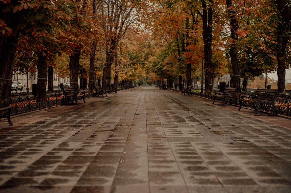 Photograph by Алёна Лихачёва