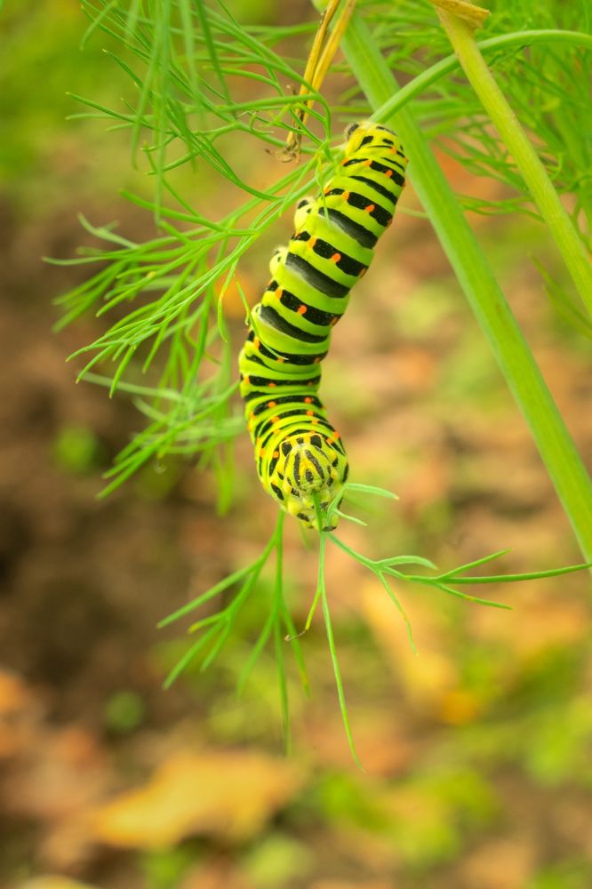 Photograph by Nikita Silyavin