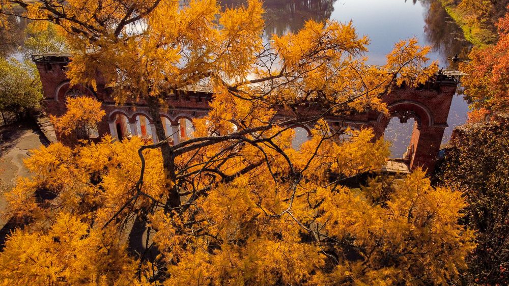 Photograph by Кононенко Владимир